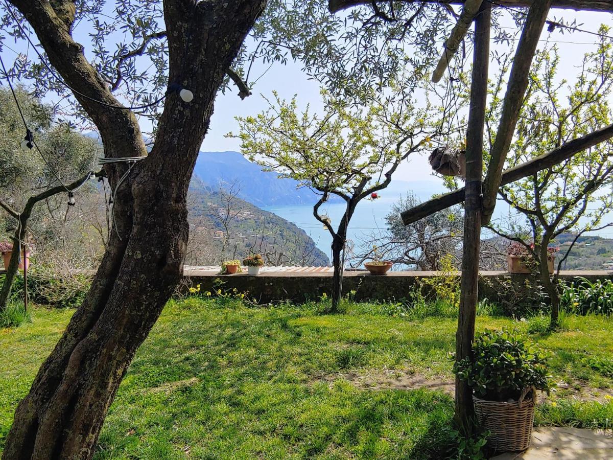 Amalfi Coast, Positano, Sorrento, Capri, Garden, Villa Carcara Colli di Fontanelle Exterior foto