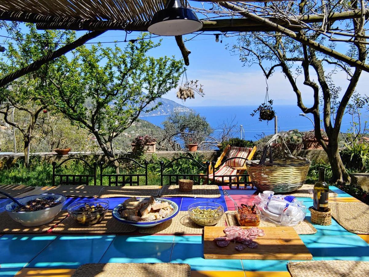 Amalfi Coast, Positano, Sorrento, Capri, Garden, Villa Carcara Colli di Fontanelle Exterior foto