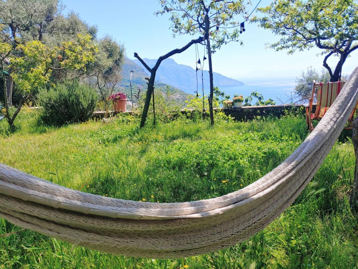 Amalfi Coast, Positano, Sorrento, Capri, Garden, Villa Carcara Colli di Fontanelle Exterior foto