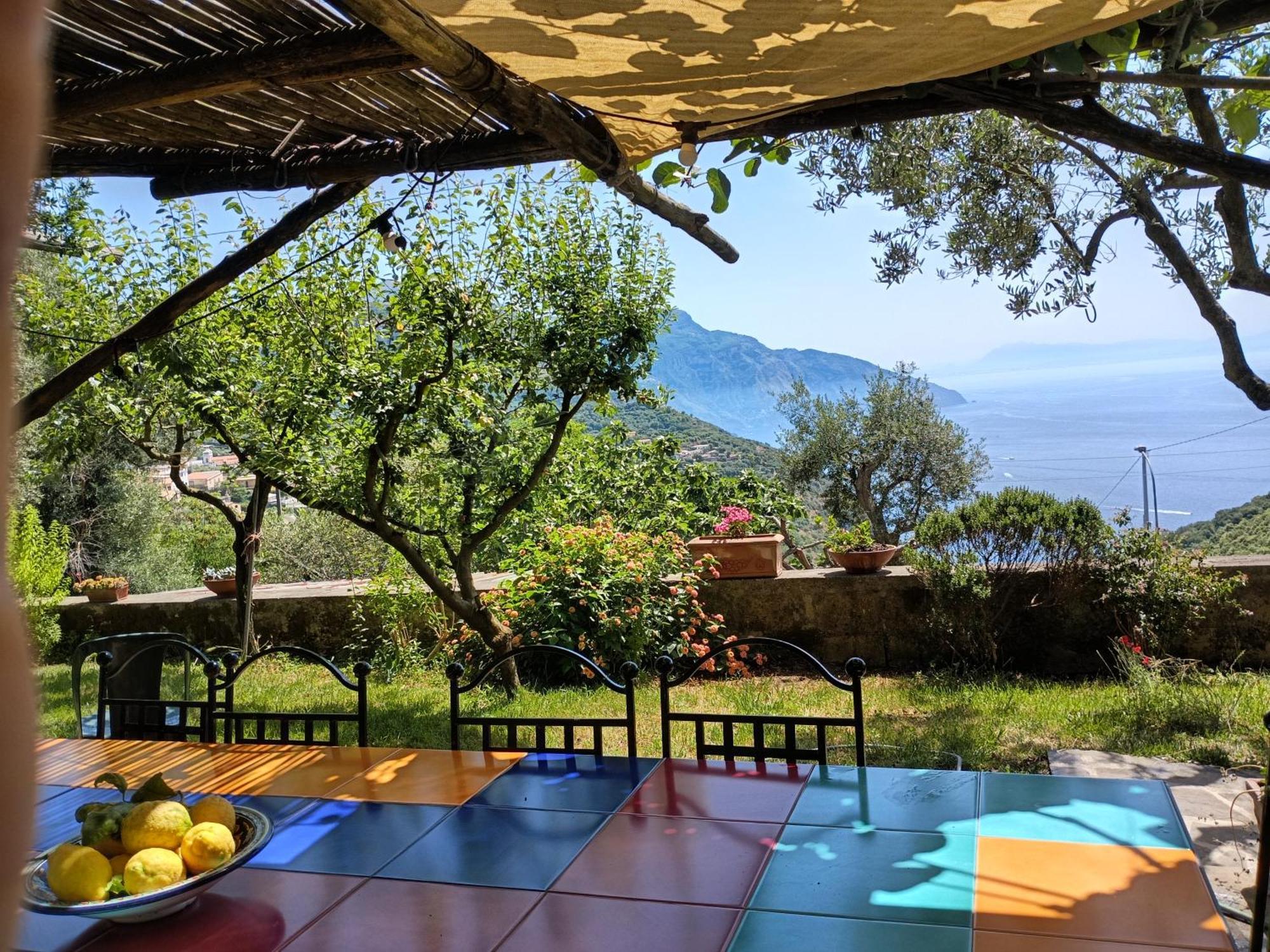Amalfi Coast, Positano, Sorrento, Capri, Garden, Villa Carcara Colli di Fontanelle Exterior foto
